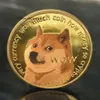 مخصص DogeCoin من قبل الشركة المصنعة Bitccccoin Bitccccoin bitdoge التذكارية العملة المعدنية الحرف طباعة اللون
