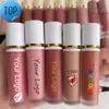 Atacado personalizado brilho labial diy criar sua própria cor brilho labial cosmético batom líquido diy com tubo recipiente