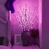 1pc Éclairage de nouveauté 20LED Branches lumineuses simulées, Branches lumineuses créatives, Veilleuses étoilées, Lumières d'arbre de décoration de chambre, Fête de famille, Vacances, Décoration de mariage