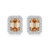 5colors 통과 테스트 알레르기 무료 925 실버 VVS 1ct Moissanite Earrings Studs 남성용 여성 좋은 선물