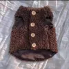 Abbigliamento per cani Simpatico abbigliamento per gatti Instagram Gilet caldo in pelo di agnello Autunno/Inverno Teddy Pet all'ingrosso
