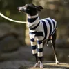 Vêtements à rayures pour chiens pour lévriers Veste whippet manteau de veste chaude à deux pattes Salopes d'étirement à col roulé