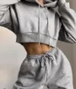 Frauen Zwei Stück Hosen 2024 Große Fleece Casual Mit Kapuze Für Schweiß Anzüge 2 Peice Streetwear Frauen Passenden Sets Plus größe Kleidung