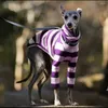 Vêtements à rayures pour chiens pour lévriers Veste whippet manteau de veste chaude à deux pattes Salopes d'étirement à col roulé