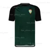 23 24 Jerseys de futebol em Emirados Árabes Unidos 2023 2024 Camisas de futebol da equipe nacional Player versão Home White Away Homens de Jersey Green UAE