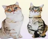 50cm lifelike plush cat pillow stuffed 3D print animal cat throw pillow home decoration gift for car people 2203043294858