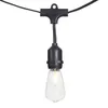 Strings 15-Count Shatterproof Edison Bulb Outdoor String Lights With Black Wire Garden Christmas