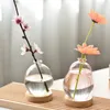 Vazen Bubble Vaas Helder Bloemstuk Tafeldecoratie Aroma Fles Glas Creatief Roze Hydrocultuur