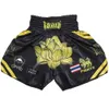 Muay Thai Lotus MMA Fight Sports Sport Kompleksowe trening walki Fiess Running Tiger Shorts Szybkie suszące oddychanie