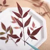 Decorative Flowers 6-10cm/12pcs Natural Nandina Pressed Plant Leaves DIY Po Frames Dropper Phone Cases Party Holiday Cards Flower Material