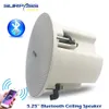Haut-parleurs Couverture arrière Haut-parleur de plafond Bluetooth 8Ohm Casque Bluetooth intelligent RMS 15Watts Puissance de crête 45Watts Haut-parleurs du système PA