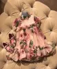 Kinder tragen Frühling Sommer Prinzessin Ballkleid Rose Floral bedruckte Kleid Party Kleider Mode Kind Mädchen Kleider2063162