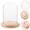 Bouteilles de stockage Couvercle en verre de fleur éternelle Poussière Transparent Micro Paysage Affichage Ornement de bureau (8 12 colonnes à fond plat) Rose