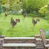 Lanternes solaires en forme de poulet en fer forgé, lumières creuses rétro avec poignée, décoration de jardin extérieur pour arbre de cour, 1 pièce, 240108