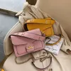 Hoge 2024 Herfst/Winter Nieuwe Mode Lingge Chain Crossbody Veelzijdige Instagram Hot Handheld Schoudertas Vrouwen Handtas