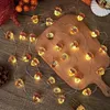 Thanksgiving Decorations Acorn Lights String, Fairy String Lights Battery Operated, Fall Lights For Home Autumn Garland Bedroom Christmas Tree Party Decor