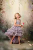 Lilac 2024 Flower Girl Dresses Appliqued Floral High Low Princess Kids Baby Girls First Birthday Dress For Wedding Party Communication Gowns