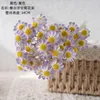 Decorative Flowers Chamomile Bouquet Simulation Floral Green Plants Wedding Decoration Crafts Changchun Flower Artificial MWT002