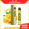 15 Flavors HAPP Bar 4000 Puffs Vape E Cigarette Disposable E Cigarette