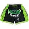 VSZAP FIESS Wolf Head Fighter Shorts Sport Thai Boxing MMA Trening Walka Szybkie wysuszone spodnie plażowe