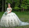 Sage Green Quinceanera omuzdan elbiseler 3d çiçek tatlı 15 önlük artı boyut vestidos 16 balo elbisesi