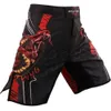 Pantaloncini Fight Training MMA Muay Thai Boxe Sanda Pantaloni sportivi da combattimento completi Jiu Jitsu Fiess da uomo Estate