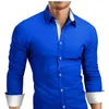 Camisas casuales para hombres 2024 Camisa de manga larga Moda personalizada Tendencia versátil Guapo Tamaño suelto Polo Cuello