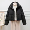 Trench da donna 2024 Cappotto corto in cotone con colletto in piedi Versione coreana Pane piccolo e addensato invernale