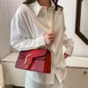 Hochwertige Muster-Krokodil-Damenhandtasche mit dicker Kette, Umhängetasche, 2024, Bonbonfarben, Doppelfach, kleine quadratische Flip-Tasche