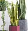 60cm Yapay Sansevieria trifasya büyük boy tropikal bitki yüksek kaliteli etli hediye ev dekorasyon dükkanı pencere ekranı c09654630