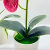 Fleurs décoratives faux Phalaenopsis bonsaï de noël en plastique pour salon maison Table salle de bain chambre bureau étagère ferme