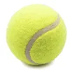 Happyfun Tennis Balls 10 팩 훈련 연습 높은 탄력성 애완견 연주 240108