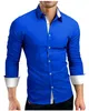 Camisas casuales para hombres 2024 Camisa de manga larga Moda personalizada Tendencia versátil Guapo Tamaño suelto Polo Cuello