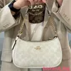 2024 Nuevo TERI Bolso de un solo hombro para mujer Glacier White Coated Old Flower Chaincode 2478