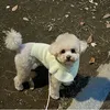 Szczeniak luksus psa kaszmirowy Lotus kołnierz dzianina miękka wełniana podsumowanie kota Sweter pies pies mały pies zimowy sweter 240106