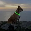 Hundhalsar LED Glödande krage blinkande lysande USB-uppladdningsbar halsbandsljus för dina hundar som går säkert på natten Anti-Lost