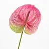 Fiori decorativi Bocciolo di rosa Pianta artificiale Anthurium Stampa 3D Rete Scenario Decorazione festiva Cortile paesaggistico