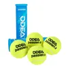 テニスクリケットボール缶オデアプロフェッショナルウールフェルトラバーITF承認弾性競争練習トレーニングテニス240108