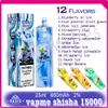 Authentique Vapme Shisha 15000 Puff Jetable E Cigarette 650mAh Batterie 2% Niveau 25ml Pod Pré-rempli Puffs 15k Vape Pen