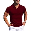 Polo da uomo 2024 Polo da uomo Camicia da uomo Manica corta Solido scollo a V Striscia verticale Abbigliamento Estate Moda casual Top