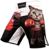 MMA Training Shorts Comprehensive Fiess Quick-drying Thai Boxing Children's Martial Arts Fighting Sanda Judo