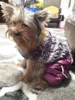 Vêtements de chien Purple Bubble Coton Collier de fourrure de luxe Style Pet Dogs Manteau d'hiver Vêtements pour