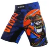 Mma Combat Sport Ninja Panda Cycling Fishing Shorts Jujitsu Training Mixed Martial Arts Fiess Thai Boxing Sanda Taekwondo