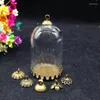 Pendant Necklaces 5sets/lot 38 25mm Glass Globe Bronze Plated Crown Base Beads Cap Set Bottle Necklace Vials Diy Jewelry