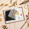 Decorative Flowers Lined Paper Embossing Accessories Flower Preserving Kit Press Boards Suite Pressed Tools White Leaf Pressing Art