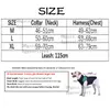 Designer Dog Claming set guinzaglio set in pelle con borchie medio per cani grandi, imbracature guinzaglio 3 pezzi abbinati per pitbull, mastiff, pugile, toro terrier blu l b206