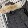 Piumino da uomo di lusso di fascia alta Piumino casual di media lunghezza Parka con collo in pelliccia di volpe Piumino invernale a prova di freddo 240106