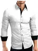 Camisas casuales para hombres 2024 Camisa de manga larga Moda personalizada Tendencia versátil Guapo Tamaño suelto Polo Cuello