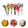 Decoratieve bloemen 6 stuks droog miniboeket gedroogde bloemen natuurlijke bruiloft bewaard