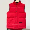 Veste de créateur Puffer Vest Hommes Designers Veste Femmes Vêtements Manteau de mode Designer à capuche Matte Vest Vestes d'extérieur Classique imperméable Coupe-vent Manteaux